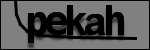 متن برای شناسایی