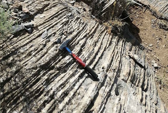 First Responsive Image